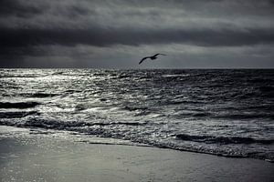 Borkum I