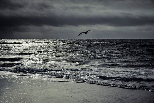 Borkum I