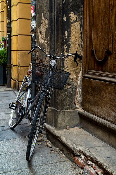 Door with bike van Klaske Kuperus