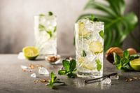 Mojito Cocktail met limoen en munt in longdrinkglas
