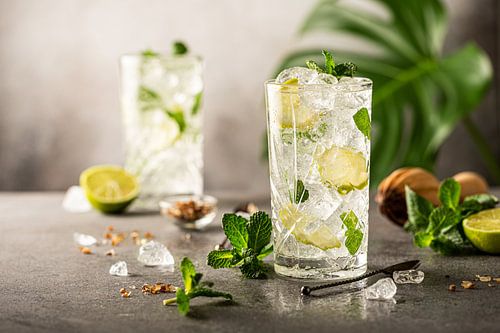 Cocktail Mojito au citron vert et à la menthe dans un verre long drink sur Iryna Melnyk