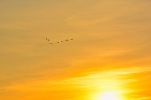 Winter approaching Gement