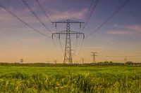 Elektrizitätsmasten auf der Wiese