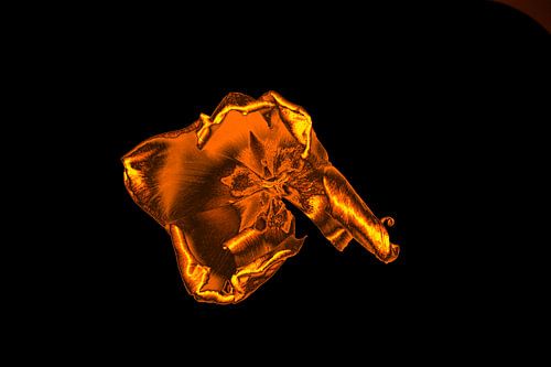 Bewerkte macrofoto van een tulp aan het einde van haar bloei