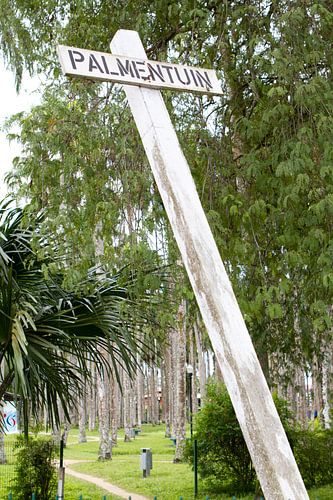 De beroemde Palmentuin in Paramaribo