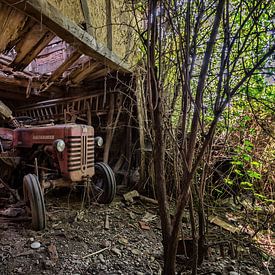 red tractor by Linda Lu