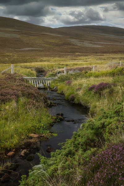 Schottlands friedliche Landschaften von Mart Houtman