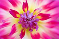 Sie können mich immer noch im Dunkeln sehen!