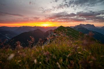 Lever de soleil sur la Zugspitze et les Alpes tyroliennes sur Leo Schindzielorz