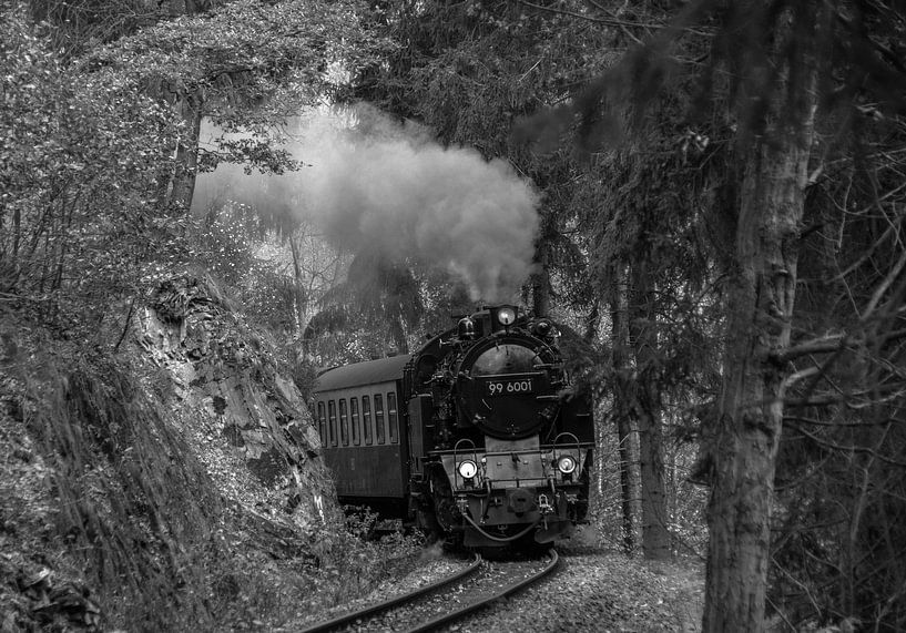 HSB 99-6001 Selketalbahn S/W von Marcel Timmer