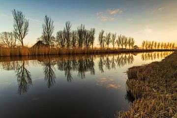Rij bomen aan de waterkant reflecteren in het vlakke wateroppervlak van Bram Lubbers