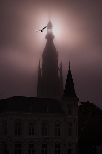 Grote kerk van Breda