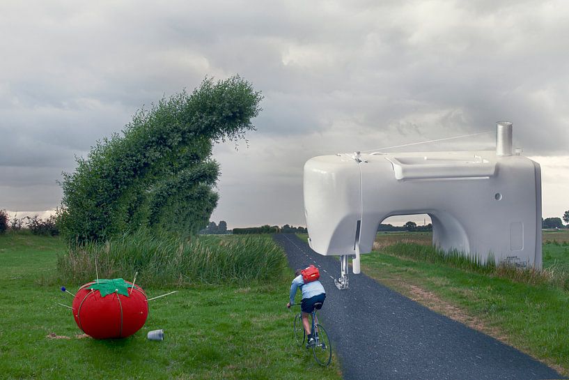 Surrealistische Bildsprache: Nähmaschine auf der Landstraße von Elianne van Turennout