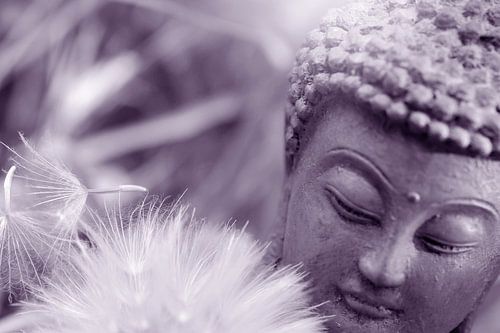 Bouddha
