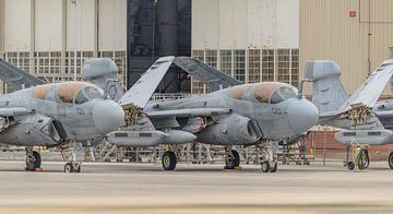 Grumman EA-6B Prowlers. by Jaap van den Berg