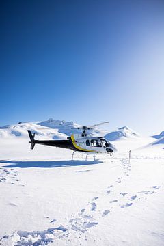 Fox Glacier: Het Levende IJs van Nieuw-Zeeland van Ken Tempelers