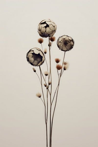 Canelao by Treechild