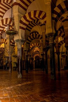 De bekende bogen van de Mezquita in Cordoba - Spanje van Lizanne van Spanje