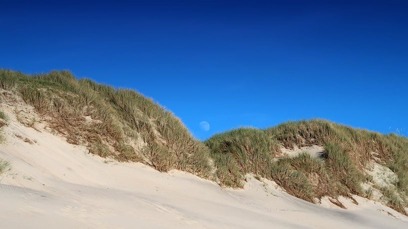 Dune by Bo Valentino