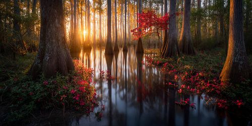 Silence before the light