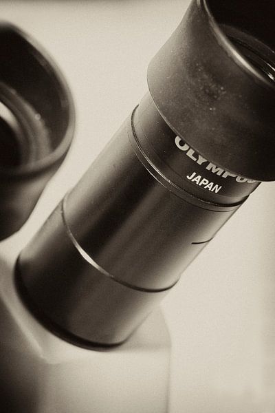 Microscopie von noeky1980 photography