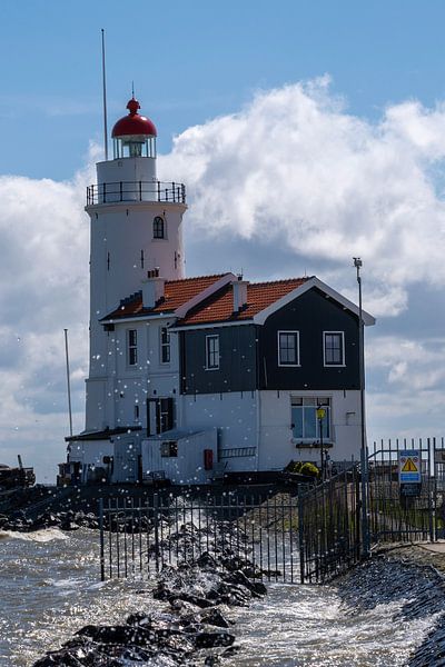 Cheval de Marken par Peter Bartelings