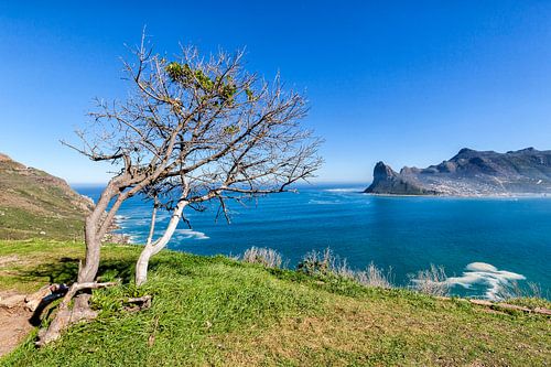 Houtbaai  Kaapse schiereiland Zuid-Afrika