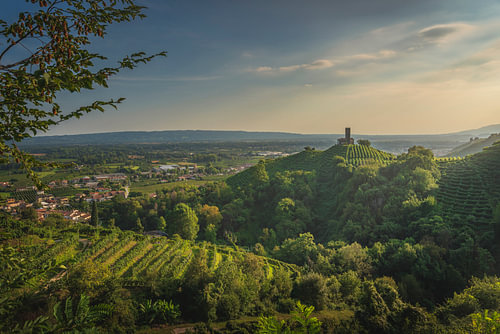 Die Weinberge der Prosecco-Hügel und die Kirche San Lorenzo bei Sonnenuntergang