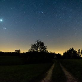 Duitsland, Sterrenhemel vol sterren boven zwart boslandschap van adventure-photos