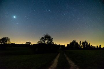 Duitsland, Sterrenhemel vol sterren boven zwart boslandschap van adventure-photos
