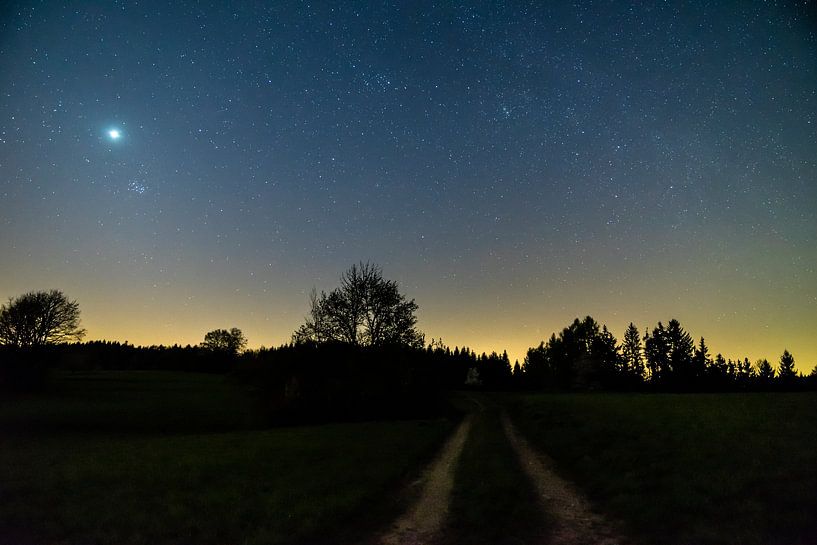 Allemagne, ciel étoilé plein d'étoiles au-dessus d'un paysage de forêt noire par adventure-photos