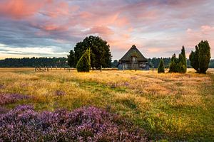 Sheep pen in the Lüneburg Heath by Daniela Beyer