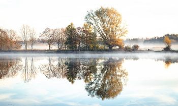Réflexions d'automne