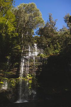 Horseshoe Falls: Een Schilderachtige Cascade in Mount Field van Ken Tempelers