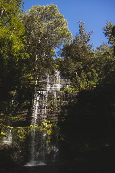 Horseshoe Falls: A Picturesque Cascade in Mount Field by Ken Tempelers