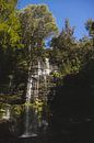 Horseshoe Falls: A Picturesque Cascade in Mount Field by Ken Tempelers thumbnail