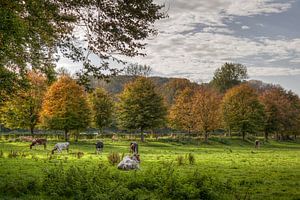 Herbstfarben in Süd-Limburg