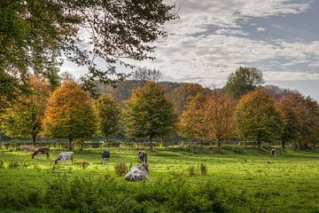 Herbstfarben in Süd-Limburg von John Kreukniet