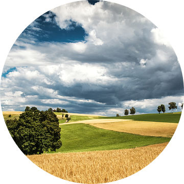 Heuvel in het zwarte woud