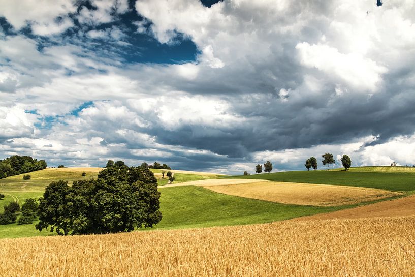 Hill in the black forest by Ilya Korzelius