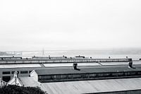 Golden Gate Bridge in the fog