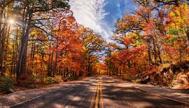 Herfstlandschap met kleuren