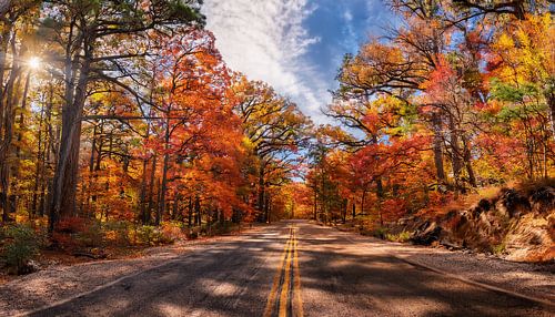 Herbstlandschaft mit Farben