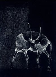 Cerf