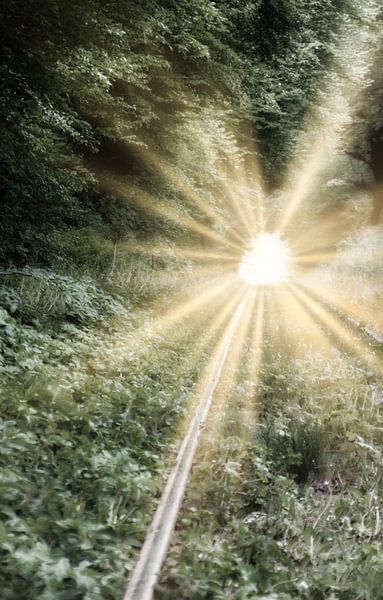 Vers la lumière par H. Jörg Herzog