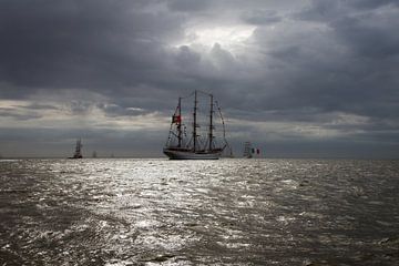 Zeilschip uitvarende naar zee van Mart Marbus