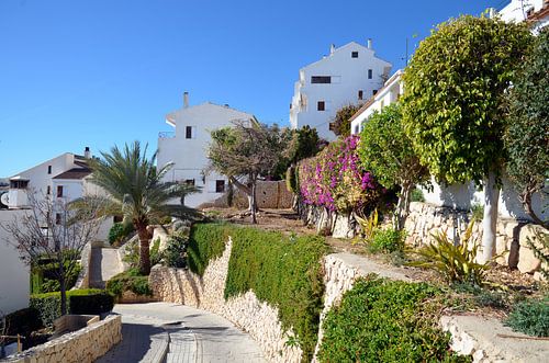Vorort von Altea mit weißen Villen mit üppiger Vegetation gegen einen Hügel