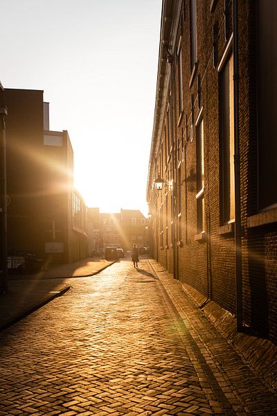 Goldene Stunde in Haarlem von Bas de Glopper