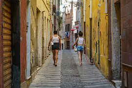 Straßenszene mit zwei Paradiesvögeln und Hund