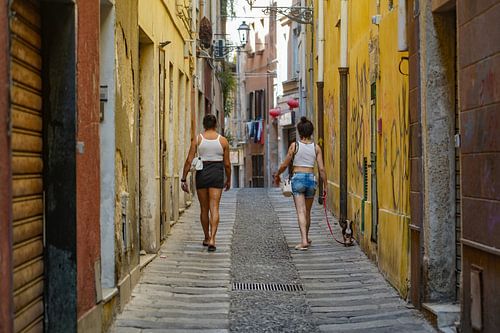 Straatbeeld van twee paradijsvogels met hond van Bart Houx